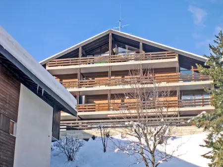 Centaure A RS 3, Appartement 4 personnes à Ovronnaz - Photo 18
