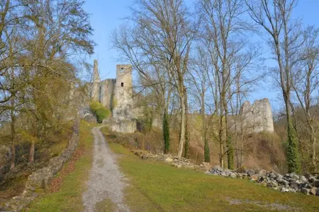 Vue sur le Chateau de Montaigle, Maison à Falaën près de Montaigle - Photo 26