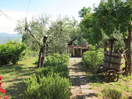 Erbe, Maison 4 personnes à Montescudaio - Photo 19