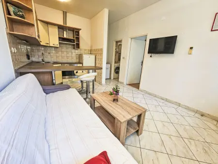 Pažanin, Appartement 2 personnes à Vinišće - Photo 9