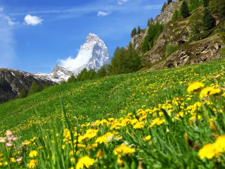 Grillon, Appartement 4 personnes à Zermatt - Photo 23