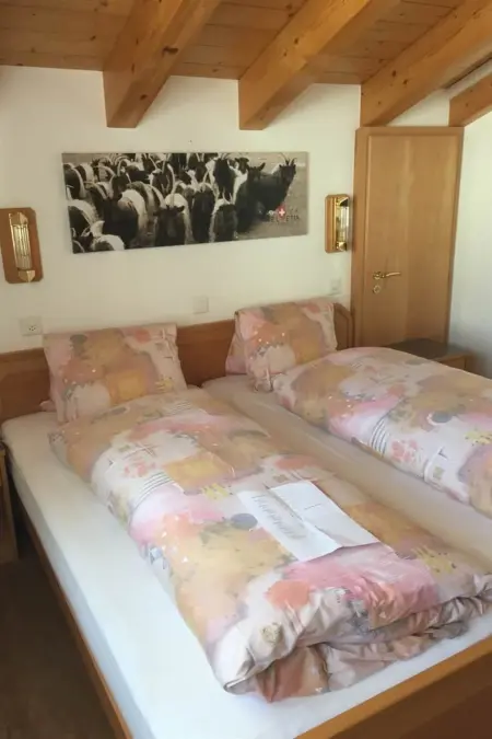 Helvetia Apartments, Appartement 2 personnes à Saas Fee - Photo 43