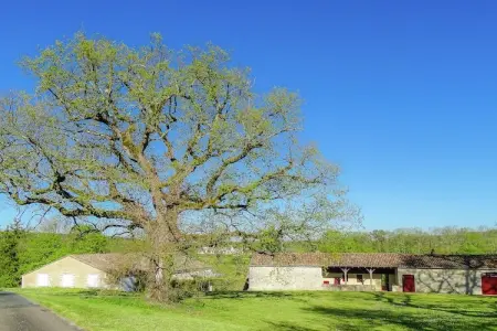 La Bergerie, Maison près des vignes de Bergerac - Photo 1