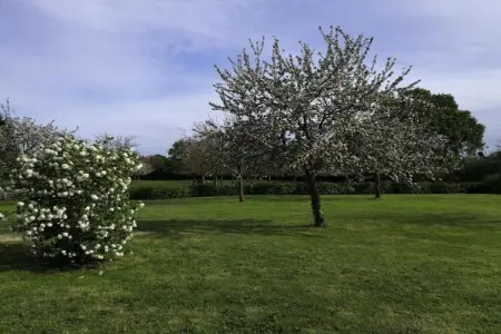 Domaine de luxe 12 pers, Élégante retraite normande - Photo 38