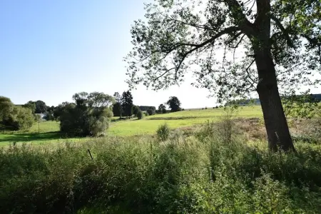 Maquis du cerf, Gîte dans les Ardennes avec piscine chauffée - Photo 27