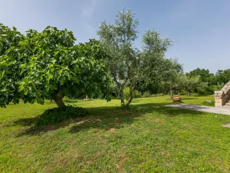Rosmarino, Gite 2 personnes à Pitigliano - Photo 27