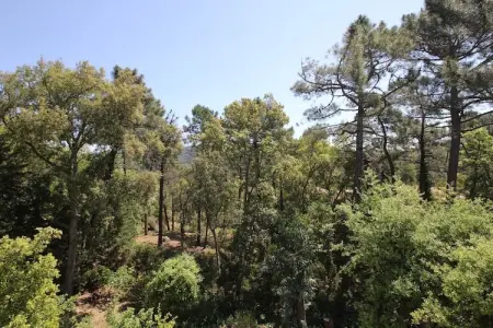 Le Capitou, Maison à Fréjus avec Piscine et Tennis - Photo 8