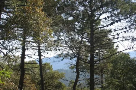Le Capitou, Maison à Fréjus avec Piscine et Tennis - Photo 19
