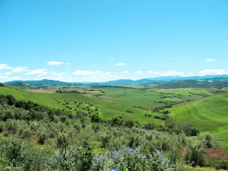 Pino di Sopra, Maison 12 personnes à Castelnuovo Val Cecina - Photo 5