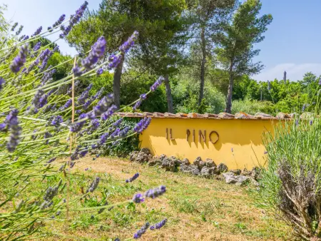Pino di Sopra, Maison 12 personnes à Castelnuovo Val Cecina - Photo 91