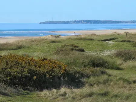 La Plage, Maison 2 personnes à Surville - Photo 13