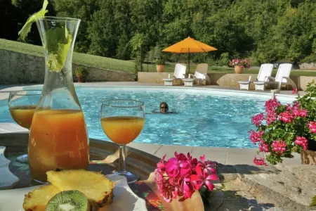 Font Neuve, Maison de vacances moderne à Souillac avec piscine - Photo 26