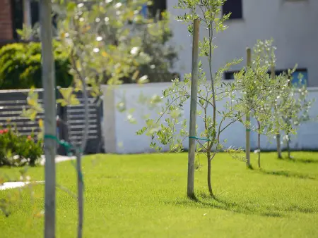 Lungera, Villa 8 personnes à Štinjan - Photo 37