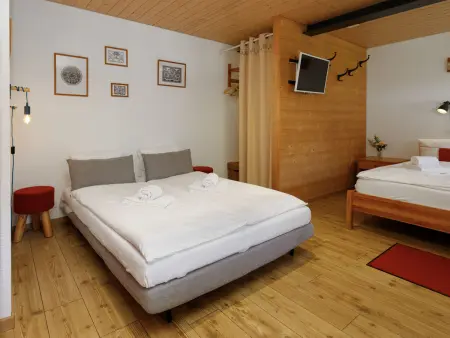 Chalet Almisräba, Appartement 4 personnes à Grindelwald - Photo 2