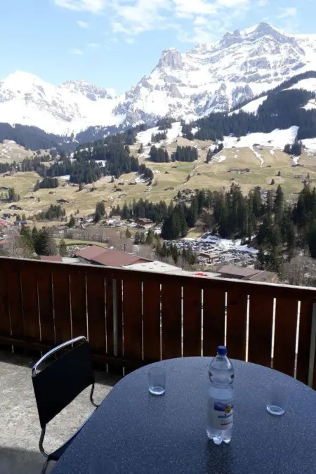 Adlerhorst, Appartement 5 personnes à Adelboden - Photo 2