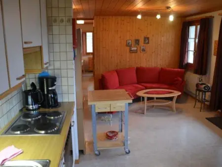 Adlerhorst, Appartement 5 personnes à Adelboden - Photo 10