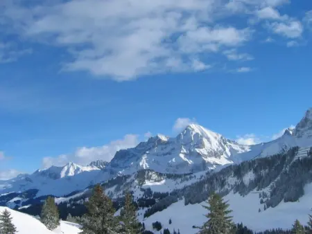 Am Gilsbach 2, Appartement 5 personnes à Adelboden - Photo 3