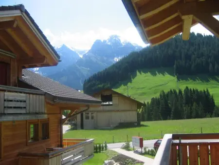 Am Gilsbach 2, Appartement 5 personnes à Adelboden - Photo 35
