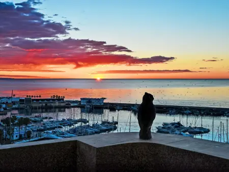 Puerto Paraíso, Appartement 4 personnes à Estepona - Photo 27