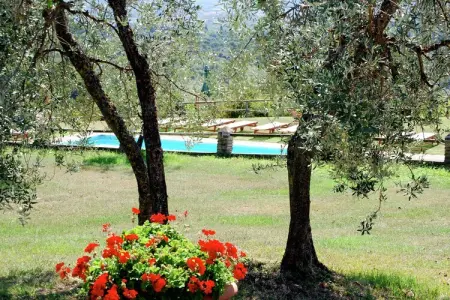 Volpe, Maison de vacances confortable avec piscine - Photo 25