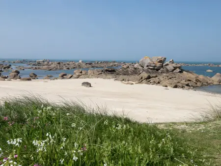 Les Chardons Bleus 2, Appartement 4 personnes à Brignogan Plage - Photo 28