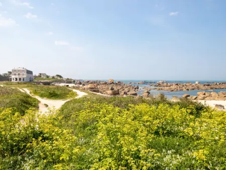 Les Chardons Bleus 2, Appartement 4 personnes à Brignogan Plage - Photo 29