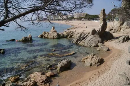La Roca, Villa à Platja d'Aro avec piscine privée - Photo 32