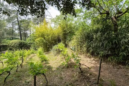 Les Lavandes, Escapade en famille aux Salelles - Photo 33