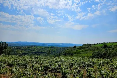 Muret-le-Château, Maison en pierre à la campagne, calme - Photo 34
