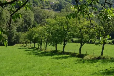 Muret-le-Château, Maison en pierre à la campagne, calme - Photo 36