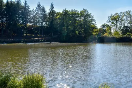 Maison de vacances - Sénezergues, Le Jardin caché de Sénezergues - Photo 19