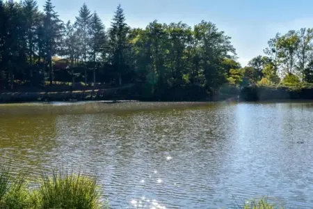 Maison de vacances - Sénezergues, Le Jardin caché de Sénezergues - Photo 25