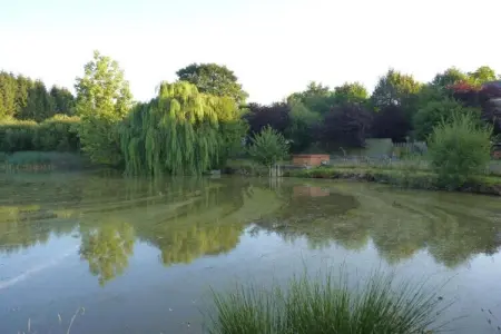 Maison de vacances - Sénezergues, Le Jardin caché de Sénezergues - Photo 31