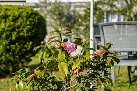 Maison avec vue sur mer, Confort balnéaire à Erquy - Photo 31
