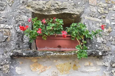 Maison de vacances  Berbiguieres 2p, Gîte Romantique, Berbiguières - Photo 22