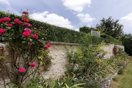 Maison de vacances Lusignac zonder gastverblijf, Maison à Lusignac avec piscine privée - Photo 31