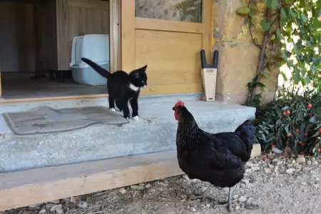 Maison de vacances Montferrand du Périgord, Escapade tranquille en Dordogne - Photo 29