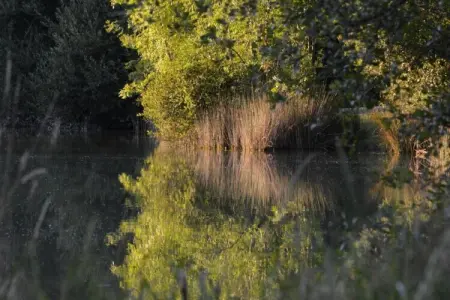 Maison au calme avec piscine, Escapade au jardin de Loubejac - Photo 29