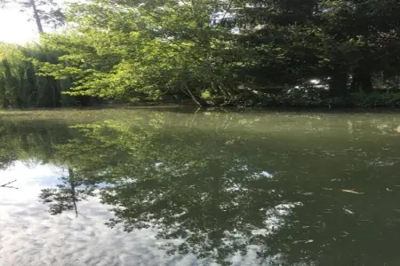 Maison au calme avec piscine, Escapade au jardin de Loubejac - Photo 33