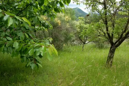 Maison de vacances - MARIGNAC-EN-DIOIS, Retraite avec vue sur la montagne, Diois - Photo 24