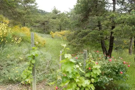 Maison de vacances - MARIGNAC-EN-DIOIS, Retraite avec vue sur la montagne, Diois - Photo 25