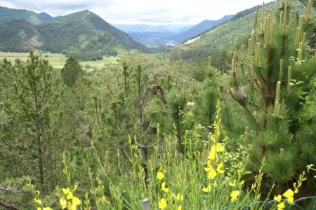 Maison de vacances - MARIGNAC-EN-DIOIS, Retraite avec vue sur la montagne, Diois - Photo 32