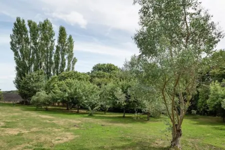 Maison de vacances Pont Croix, Séjour de charme à Pont-Croix - Photo 21
