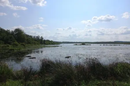 Maison mitoyenne dans un parc animalier proche mer, Refuge faunique près du Pouldu - Photo 15