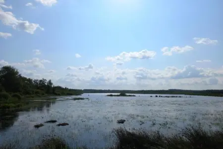 Maison mitoyenne dans un parc animalier proche mer, Refuge faunique près du Pouldu - Photo 16