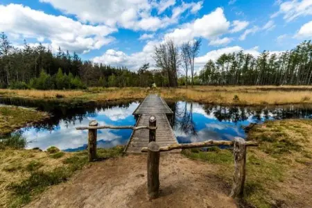 Maison mitoyenne dans un parc animalier proche mer, Refuge faunique près du Pouldu - Photo 23