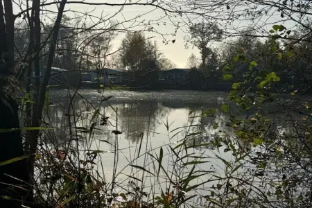 Maison mitoyenne dans un parc animalier proche mer, Refuge faunique près du Pouldu - Photo 24