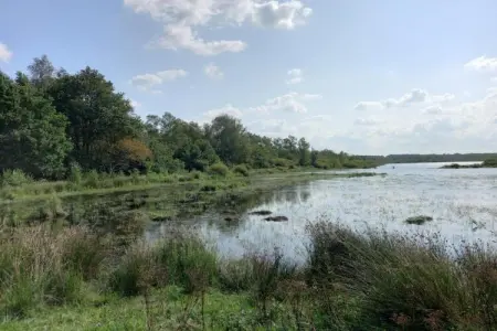 Maison mitoyenne dans un parc animalier proche mer, Refuge faunique près du Pouldu - Photo 30