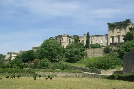 Mas des Coquelicots, Maison de vacances avec piscine privée clôturée - Photo 10