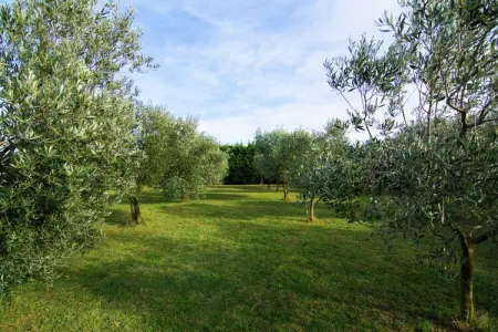 Maison de vacances - MONTFRIN, Villa Vignoble à Montfrin - Photo 25